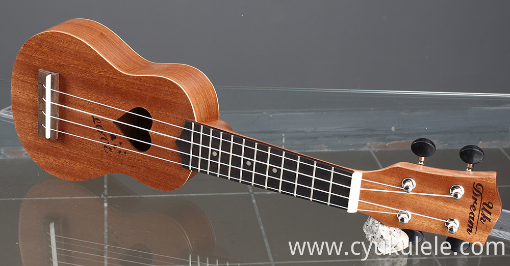 ukulele ukulele